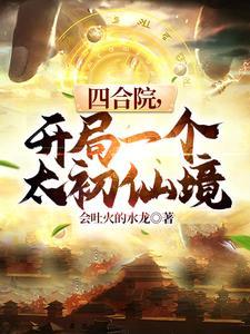 四合院开局一个太初仙境TXT
