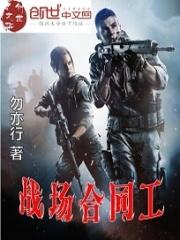 战场合同工银狼