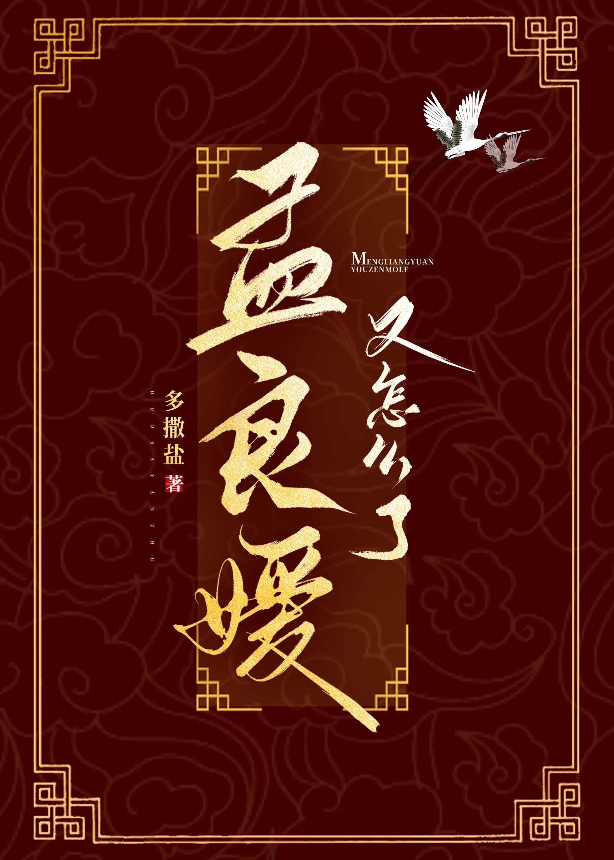 孟良玉简历