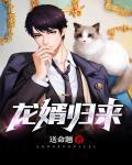 龙婿归来周朕
