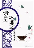 吾皇无防盗
