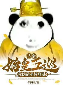 我伪造圣旨登基!半两