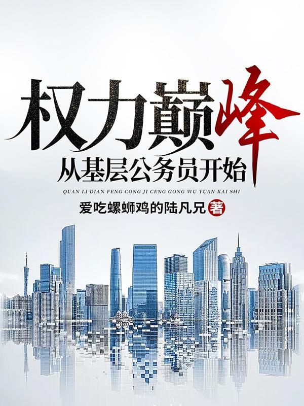 巅峰权力从基层公务员开始