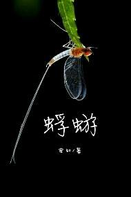 蜉蝣读音
