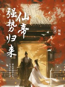 仙帝归来  无弹窗