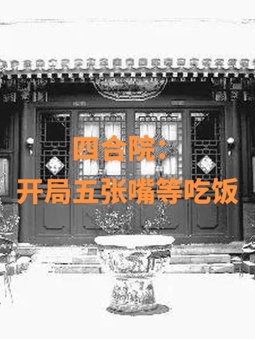 四合院开局五次满级的