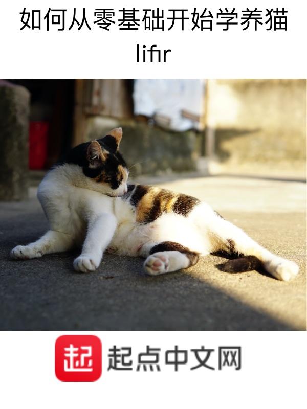 零基础如何学德语