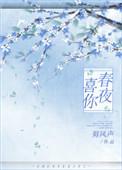 春夜喜你张鱼小丸子免费阅读