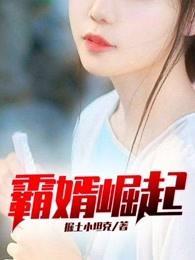霸婿崛起结局是什么