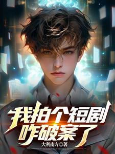 关于破案的系统流