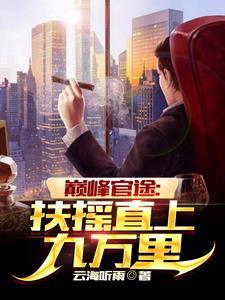 巅峰官场全文免费阅读全文