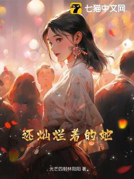 叫灿烂的电视剧