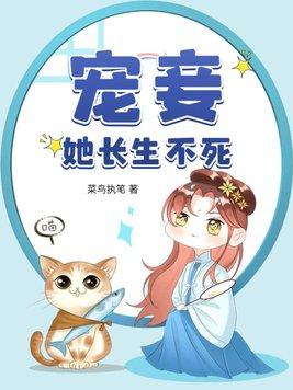 宠妾第四章