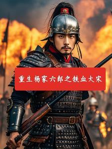 铁血杨家将评书第二季动画版