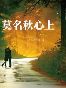 无言的旅程电视剧