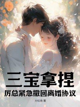 厉boss离婚吧