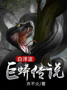 白洋淀航拍视频
