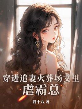 穿越文追妻火葬场