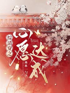综清穿之心愿达成百度