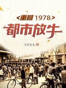 重回1978陈远
