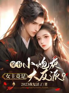 穿书女配炮灰小透明