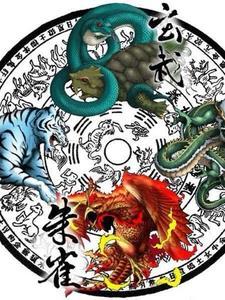 四象神兽中间的是什么