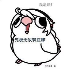 我是谁究极无敌琪亚娜全本