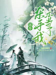 这个杀手不太了经典片段
