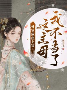 外室是什么意思啊