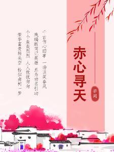赤心寻天等级