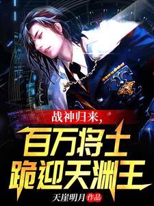 百万将士跪迎天渊王叶天渊