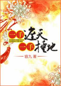 一手遮天一手捶地 电视剧