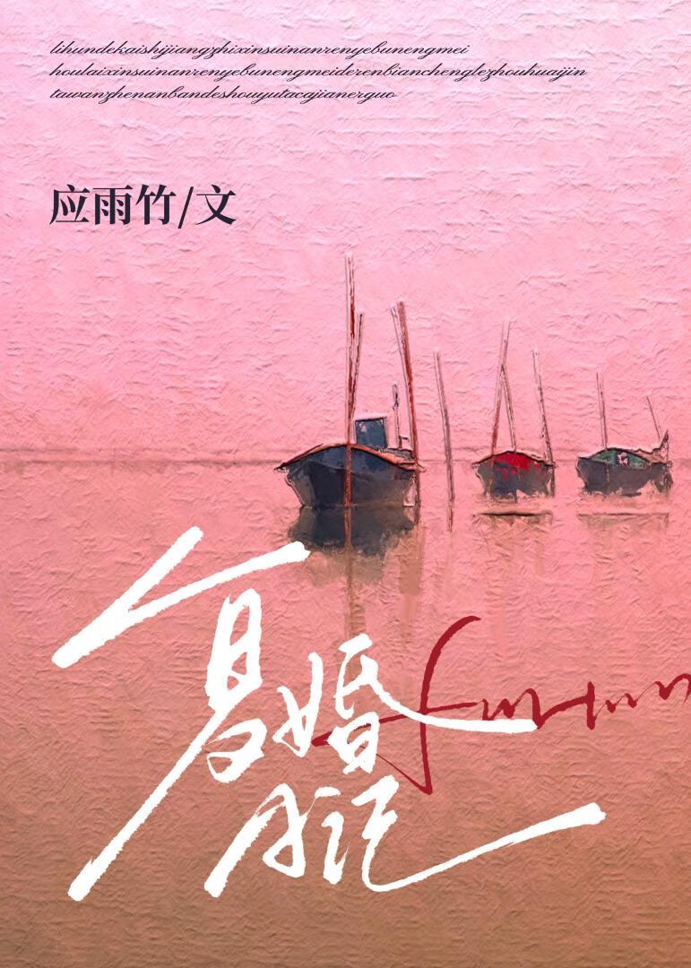 复婚日记百度