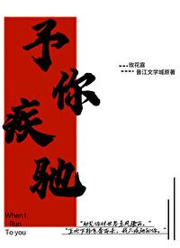 予你疾驰大结局
