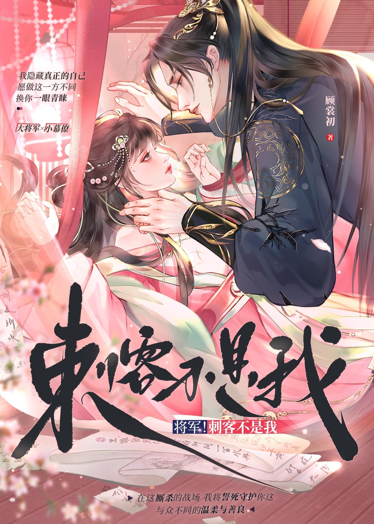 将军x刺客