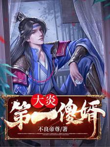 大炎第一傻婿大结局