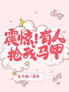 震惊有人抢我马甲第几章在一起