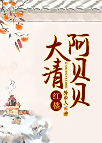 大清阿贝贝txt百度
