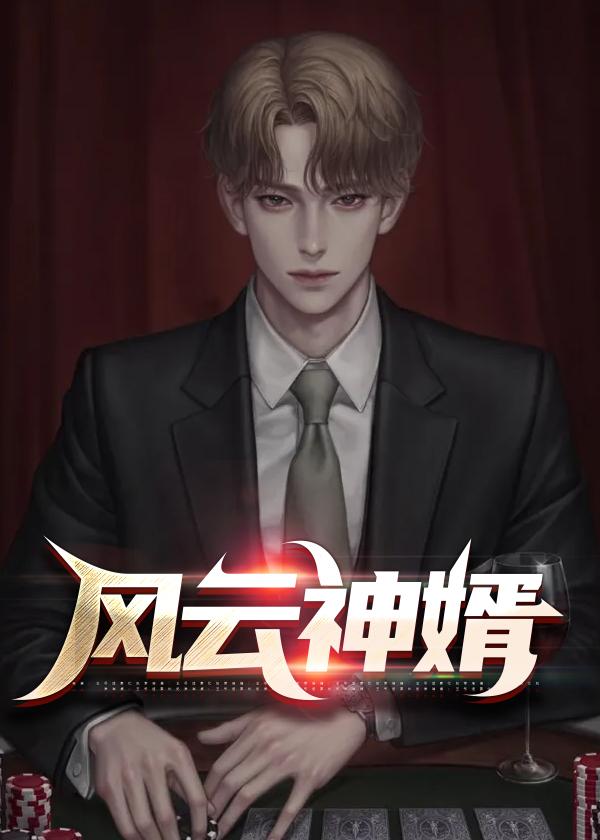 风云神婿第一季在线观看
