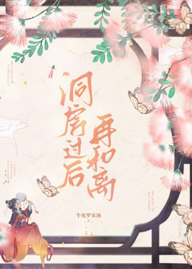 洞房过后再和离罗宋汤