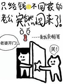 只给钱不回家的老公忽然回来了 短剧