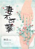 妻不可攀讲的是什么