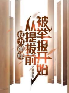 权力巅峰如何