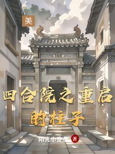 四合院之重启的柱子免费阅读