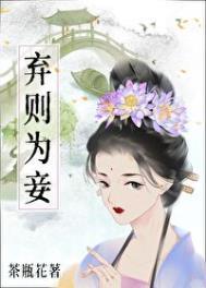 弃则为妾全文阅读