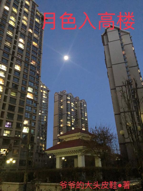 月色入高楼是什么生肖