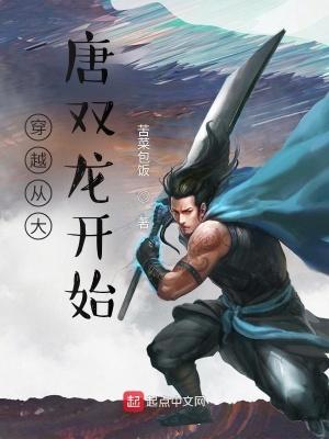 关于穿越大唐双龙传的