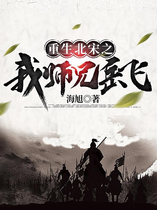 重生北宋之我师兄岳飞赵斌