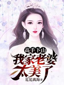 我的高手老婆免费阅读目录