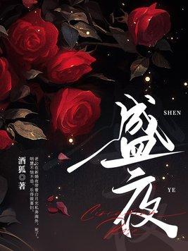 盛夜大陆全部艾比